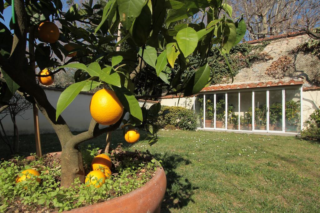 Il Diospero B&B Florencie Exteriér fotografie